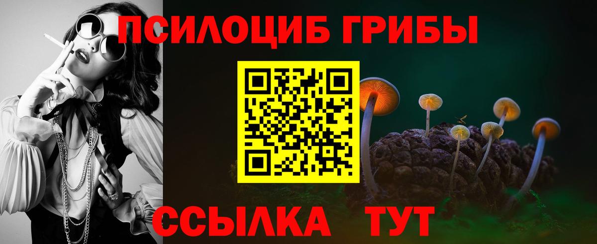 Псилоцибиновые грибы Cubensis  где можно купить   Вход с VPN  Скопин  Псилоцибиновые грибы Magic Shrooms 
