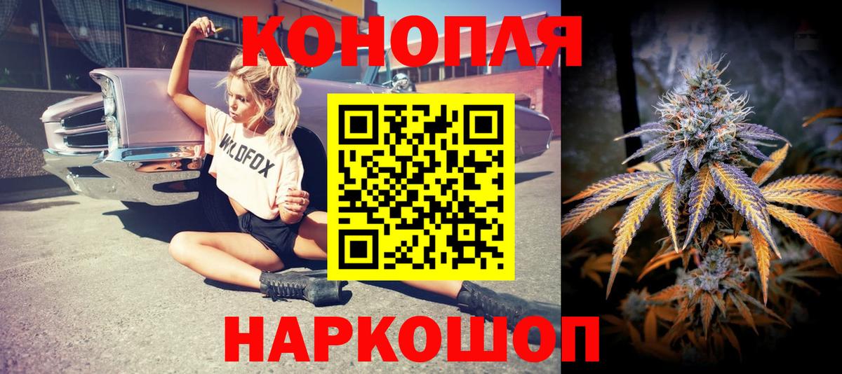 Конопля сатива Скопин